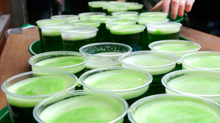 Heineken Joins Sam Adams in Boycotting St. Patrick's Day Parade
